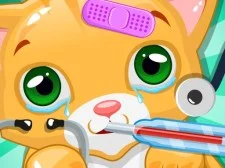 Little Cat Doctor Pet Vet Game